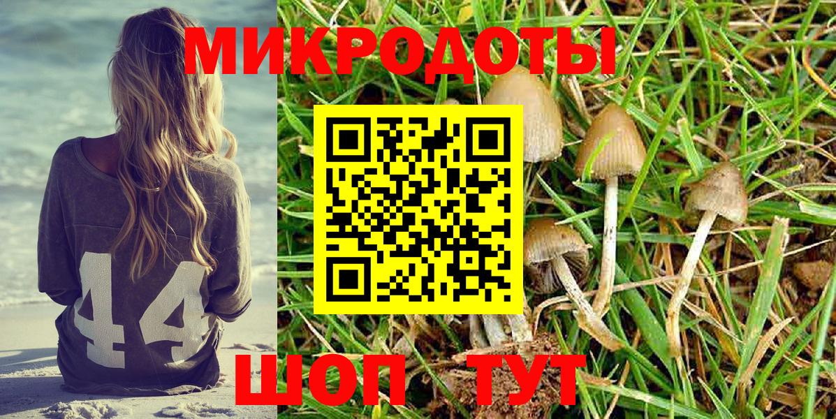 Галлюциногенные грибы GOLDEN TEACHER  закладка  Чистополь  Вход с VPN 